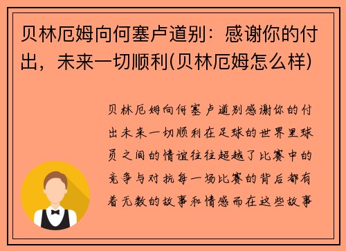 贝林厄姆向何塞卢道别：感谢你的付出，未来一切顺利(贝林厄姆怎么样)