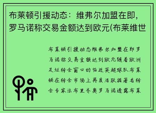 布莱顿引援动态：维弗尔加盟在即，罗马诺称交易金额达到欧元(布莱维世)