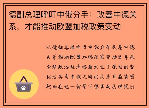 德副总理呼吁中俄分手：改善中德关系，才能推动欧盟加税政策变动
