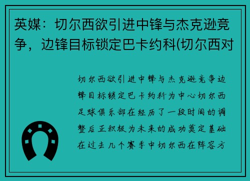 英媒：切尔西欲引进中锋与杰克逊竞争，边锋目标锁定巴卡约科(切尔西对标)